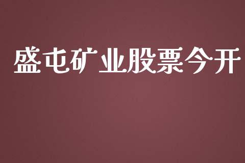 盛屯矿业股票今开_https://wap.letulww.com_外汇交易_第1张