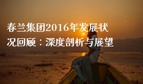 春兰集团2016年发展状况回顾：深度剖析与展望_https://wap.letulww.com_融资租赁_第1张