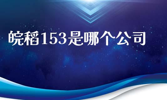 皖稻153是哪个公司_https://wap.letulww.com_投资策略_第1张