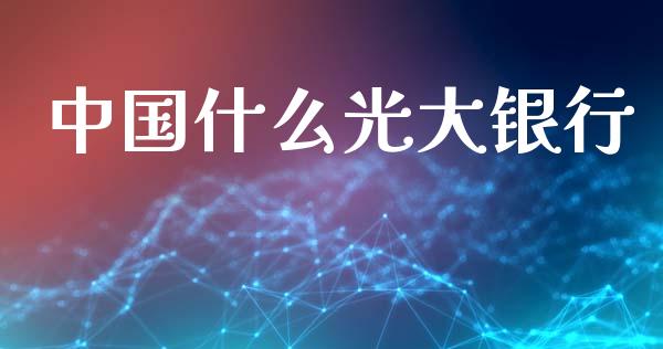 中国什么光大银行_https://wap.letulww.com_外汇交易_第1张