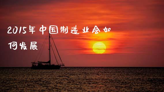 2015年中国制造业会如何发展_https://wap.letulww.com_投资管理_第1张
