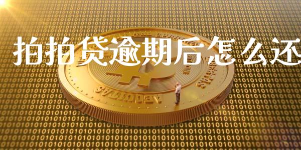 拍拍贷逾期后怎么还_https://wap.letulww.com_投资管理_第1张