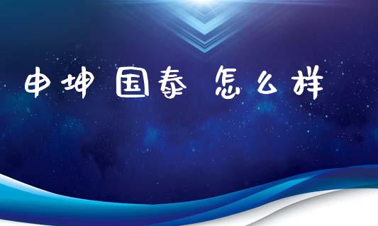 申坤 国泰 怎么样_https://wap.letulww.com_投资策略_第1张