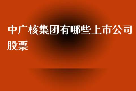 中广核集团有哪些上市公司股票_https://wap.letulww.com_投资管理_第1张
