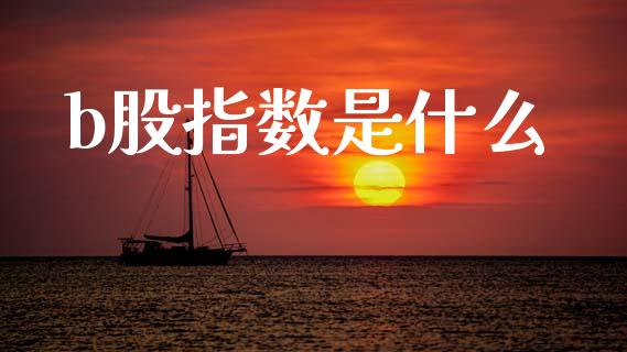 b股指数是什么_https://wap.letulww.com_投资策略_第1张