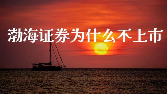 渤海证券为什么不上市_https://wap.letulww.com_投资策略_第1张