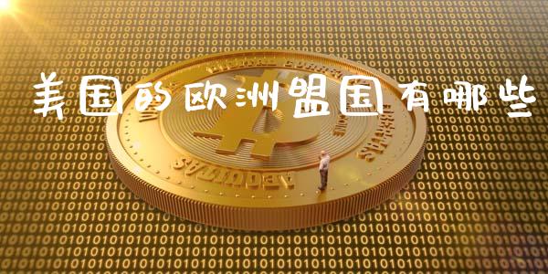 美国的欧洲盟国有哪些_https://wap.letulww.com_投资策略_第1张