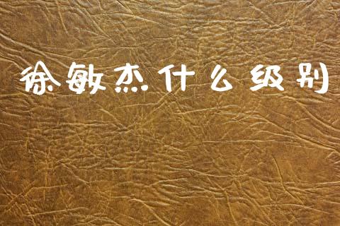 徐敏杰什么级别_https://wap.letulww.com_融资租赁_第1张