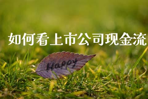 如何看上市公司现金流_https://wap.letulww.com_投资管理_第1张