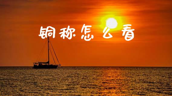 铜称怎么看_https://wap.letulww.com_外汇交易_第1张