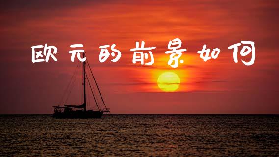 欧元的前景如何_https://wap.letulww.com_投资管理_第1张