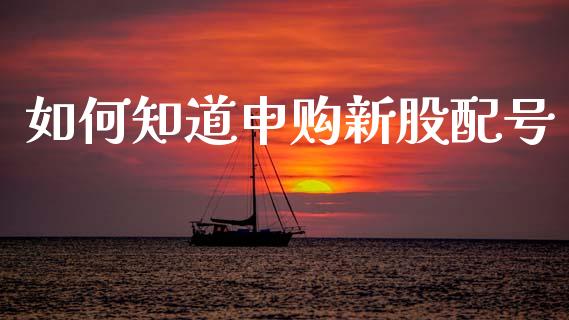 如何知道申购新股配号_https://wap.letulww.com_投资管理_第1张