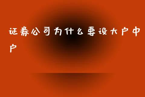 证券公司为什么要设大户中户_https://wap.letulww.com_融资租赁_第1张