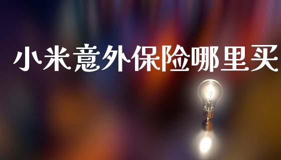 小米意外保险哪里买_https://wap.letulww.com_投资管理_第1张