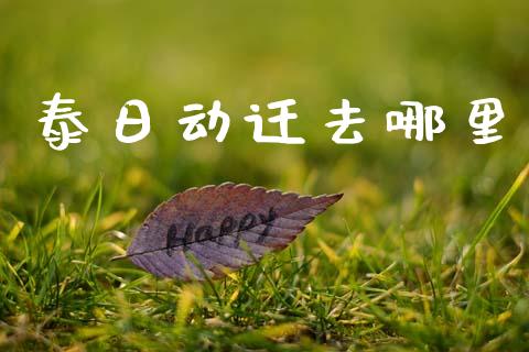 泰日动迁去哪里_https://wap.letulww.com_融资租赁_第1张