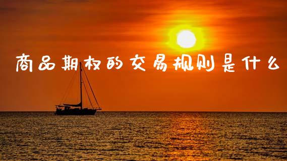 商品期权的交易规则是什么_https://wap.letulww.com_投资管理_第1张