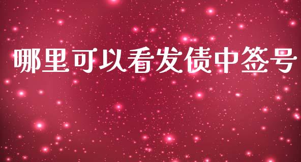哪里可以看发债中签号_https://wap.letulww.com_投资管理_第1张