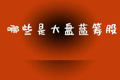 哪些是大盘蓝筹股_https://wap.letulww.com_投资策略_第1张