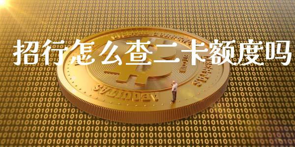 招行怎么查二卡额度吗_https://wap.letulww.com_外汇交易_第1张