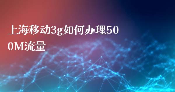 上海移动3g如何办理500M流量_https://wap.letulww.com_融资租赁_第1张