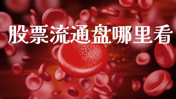 股票流通盘哪里看_https://wap.letulww.com_融资租赁_第1张