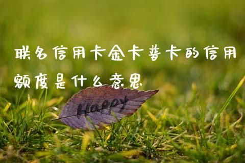 联名信用卡金卡普卡的信用额度是什么意思_https://wap.letulww.com_投资管理_第1张