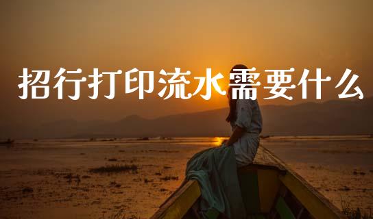 招行打印流水需要什么_https://wap.letulww.com_融资租赁_第1张