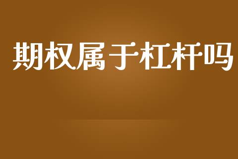 期权属于杠杆吗_https://wap.letulww.com_融资租赁_第1张