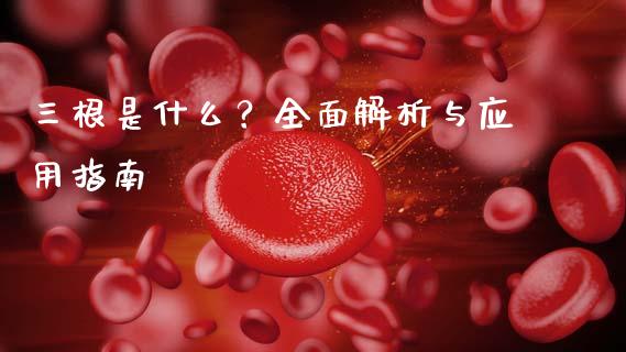 三根是什么？全面解析与应用指南_https://wap.letulww.com_投资策略_第1张