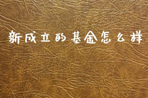 新成立的基金怎么样_https://wap.letulww.com_投资管理_第1张
