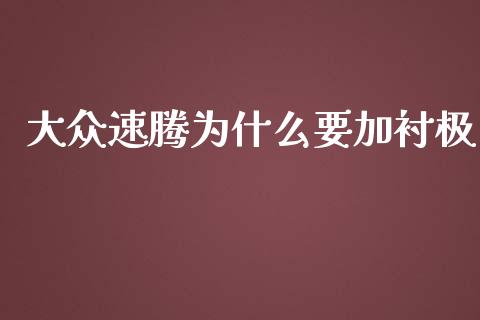 大众速腾为什么要加衬极_https://wap.letulww.com_投资策略_第1张