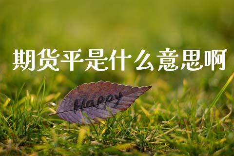 期货平是什么意思啊_融资租赁_第1张_外汇交易_投资策略_融资租赁_投资管理 期货平是什么意思啊_https://wap.letulww.com_融资租赁_第1张