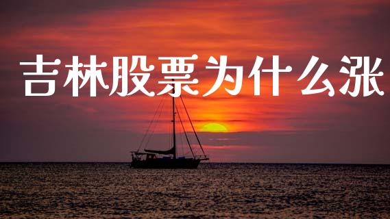 吉林股票为什么涨_https://wap.letulww.com_投资策略_第1张