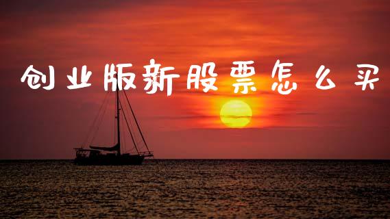 创业版新股票怎么买_https://wap.letulww.com_投资策略_第1张