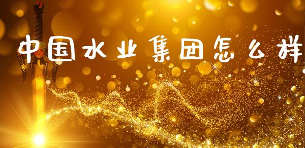 中国水业集团怎么样_https://wap.letulww.com_融资租赁_第1张