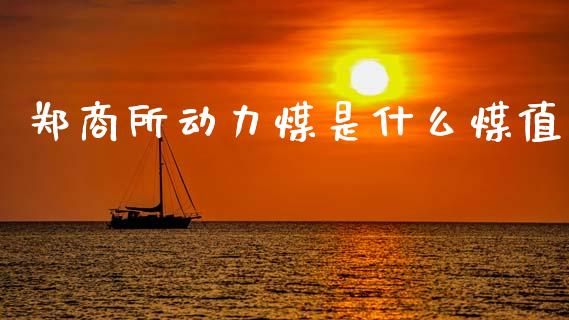 郑商所动力煤是什么煤值_https://wap.letulww.com_投资管理_第1张