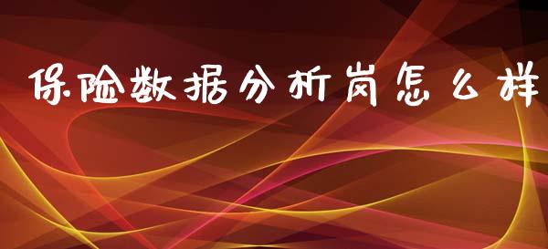 保险数据分析岗怎么样_https://wap.letulww.com_投资管理_第1张