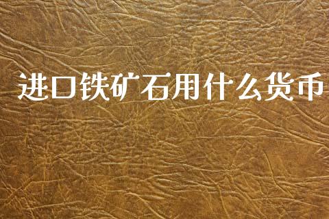 进口铁矿石用什么货币_https://wap.letulww.com_融资租赁_第1张