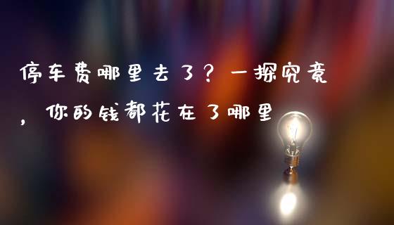停车费哪里去了？一探究竟，你的钱都花在了哪里_https://wap.letulww.com_投资管理_第1张