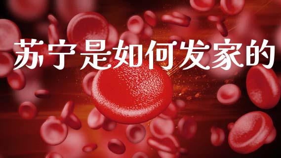 苏宁是如何发家的_https://wap.letulww.com_投资策略_第1张