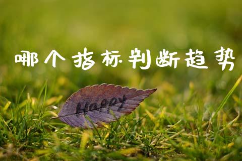 哪个指标判断趋势_https://wap.letulww.com_融资租赁_第1张