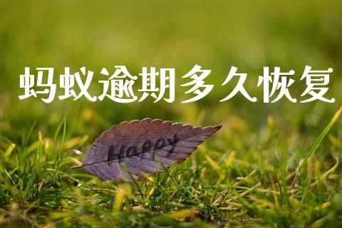 蚂蚁逾期多久恢复_https://wap.letulww.com_投资策略_第1张