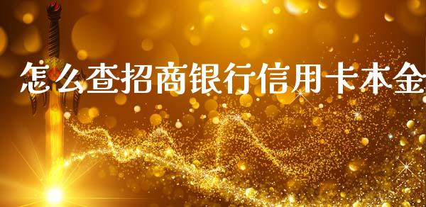怎么查招商银行信用卡本金_https://wap.letulww.com_融资租赁_第1张