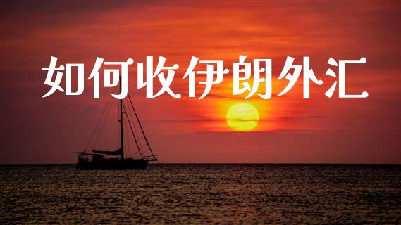 如何收伊朗外汇_https://wap.letulww.com_投资管理_第1张
