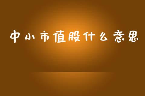 中小市值股什么意思_https://wap.letulww.com_投资策略_第1张