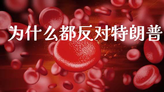 为什么都反对特朗普_https://wap.letulww.com_外汇交易_第1张