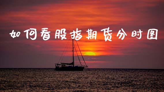 如何看股指期货分时图_https://wap.letulww.com_投资管理_第1张