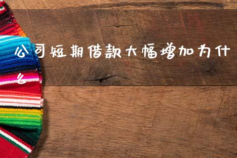 公司短期借款大幅增加为什么_https://wap.letulww.com_投资管理_第1张