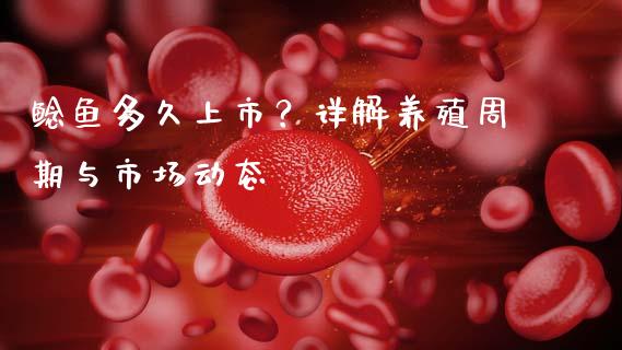 鲶鱼多久上市？详解养殖周期与市场动态_https://wap.letulww.com_融资租赁_第1张