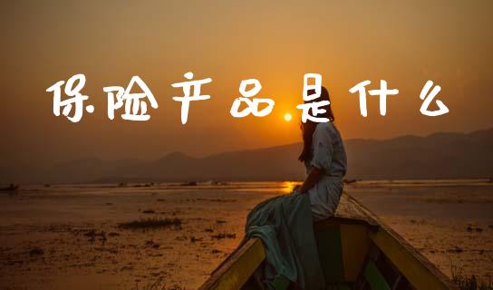 保险产品是什么_https://wap.letulww.com_融资租赁_第1张